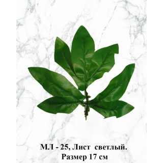 МЛ-25, Лист 17 см.